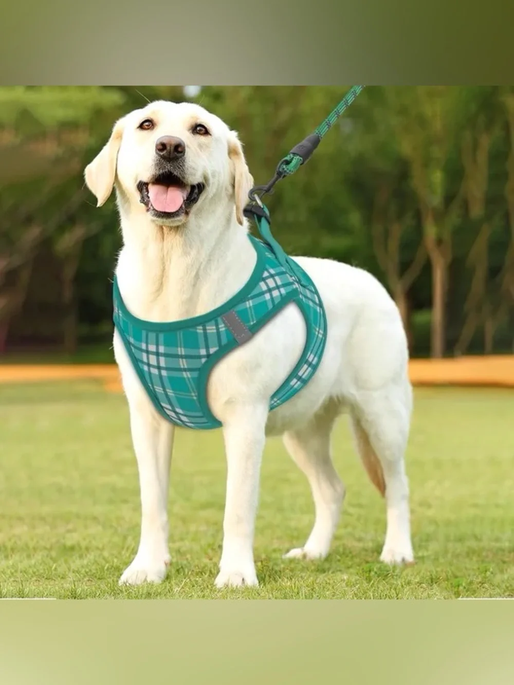 Teal Plaid Dog Harness and Rope Leash Set - Durable Comfort for Daily Walks🐾🌟💚
